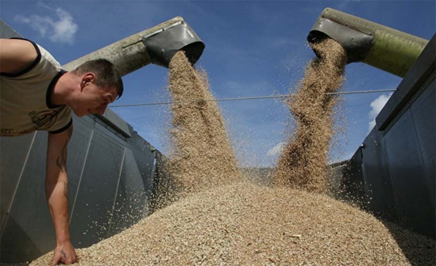 Россия и Украина: как два соперника уживутся на мировом рынке зерна?
