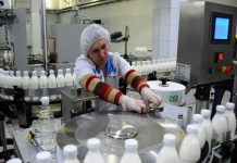 Сестры по несчастью — Украина и Россия не могут развить молочное производство