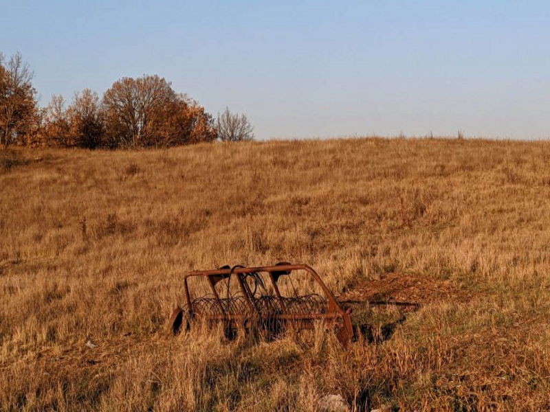 Сельское хозяйство Севастополя находится в полном упадке