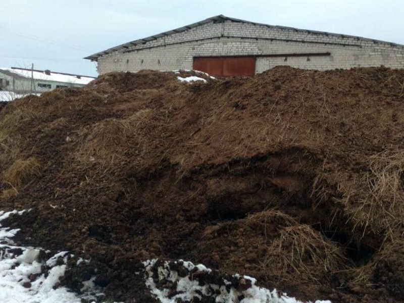 Удмуртского фермера оштрафовали за размещение отходов животноводства на земельном участке