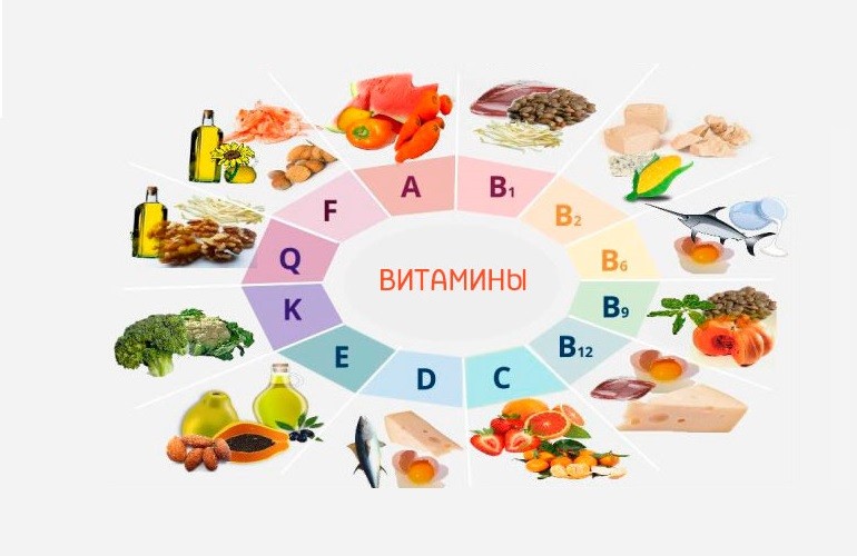 Определение витаминов в продуктах питания – АГРАРИЙ