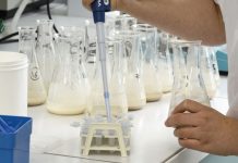 Брянский молочный комбинат оштрафован за нарушение нормативных требований