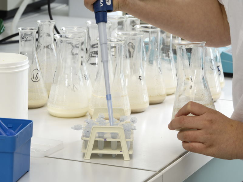 Брянский молочный комбинат оштрафован за нарушение нормативных требований