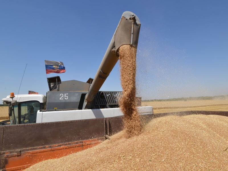 Во что выльются российскому аграрному сектору экспортные ограничения?