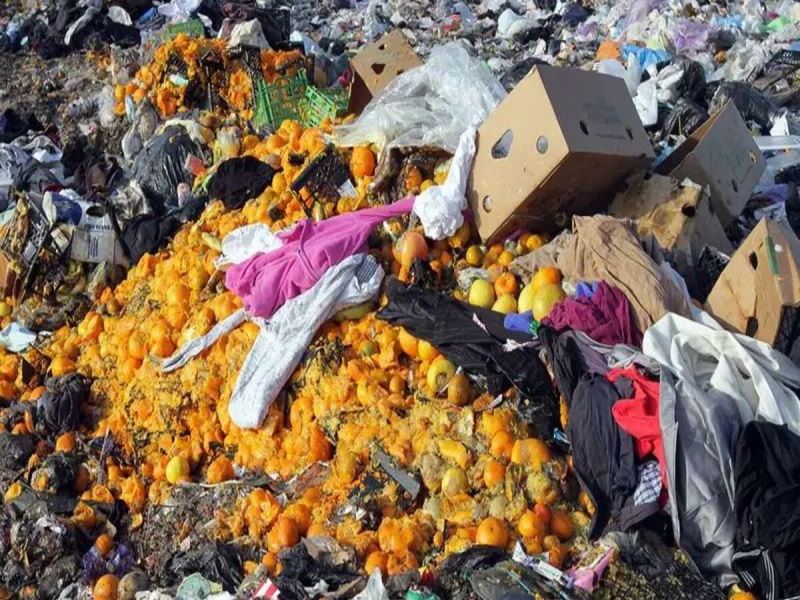 Ежегодно на свалку выбрасывается более 1 млрд тонн пищевых продуктов
