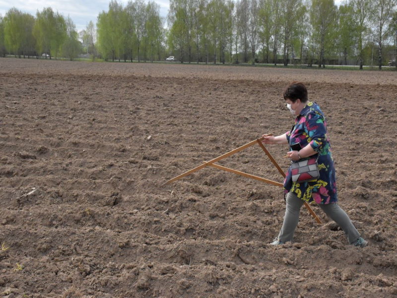 Жителям Костромской области бесплатно раздают землю под огороды