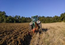 В Новосибирской области резко повысился земельный налог для сельхозпредприятий и дачников