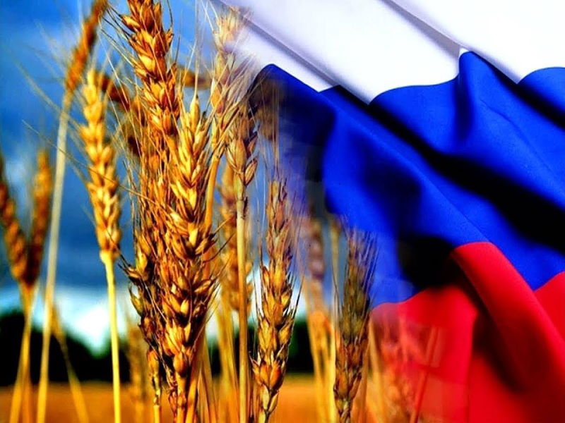 Правительство России пытается сдержать экспорт основных товаров