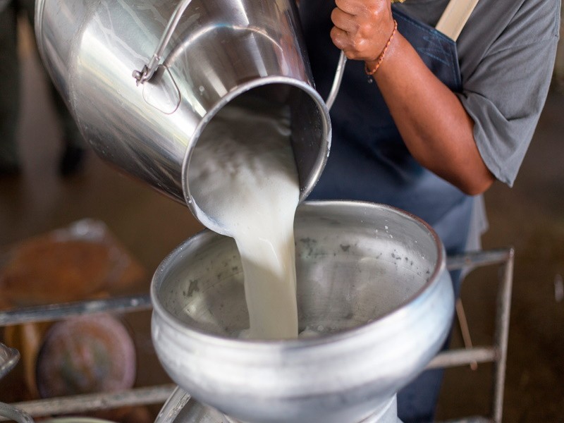 Затраты на производство сырого молоко существенно выросли
