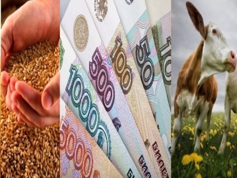 Патрушев: средняя зарплата в сельском хозяйстве достигла 30 тыс. рублей