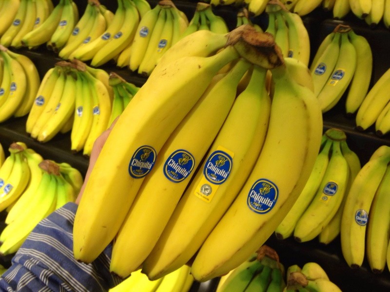Россиян предупреждают о возможном исчезновении бананов
