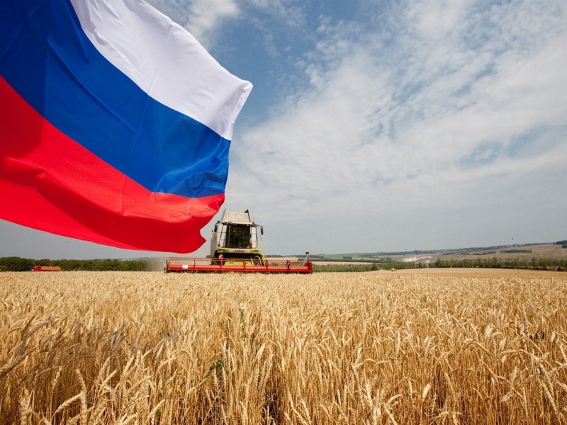 Цены на российскую пшеницу упали на $14 до $238 за тонну из-за низкого спроса