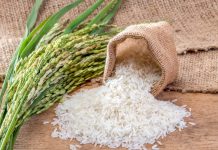 Производители предупреждают о подорожании риса к концу года
