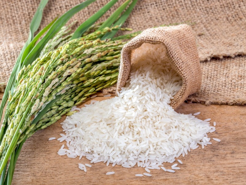 Производители предупреждают о подорожании риса к концу года