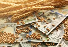 Причины скачков цен на зерно на мировом рынке