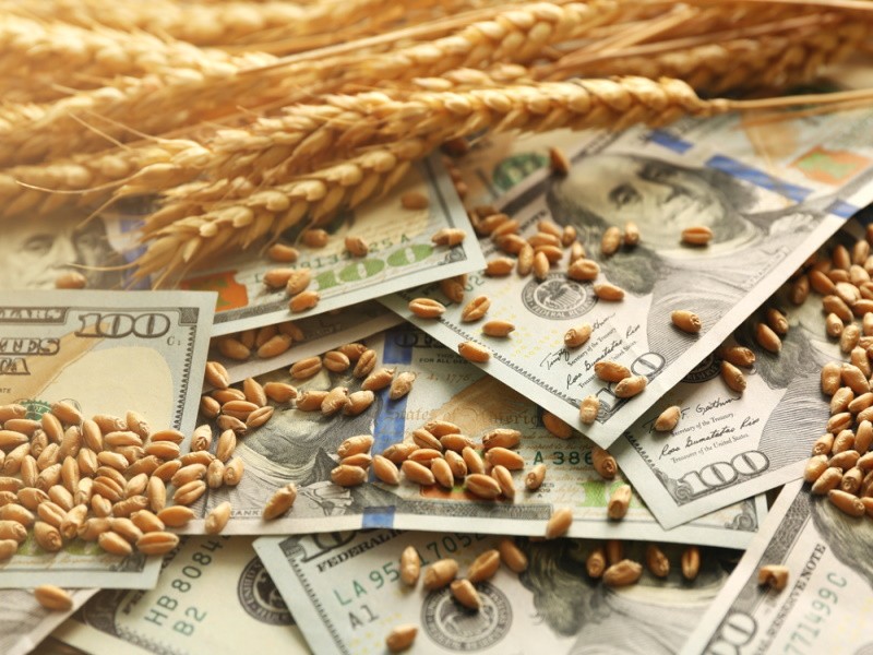 Причины скачков цен на зерно на мировом рынке