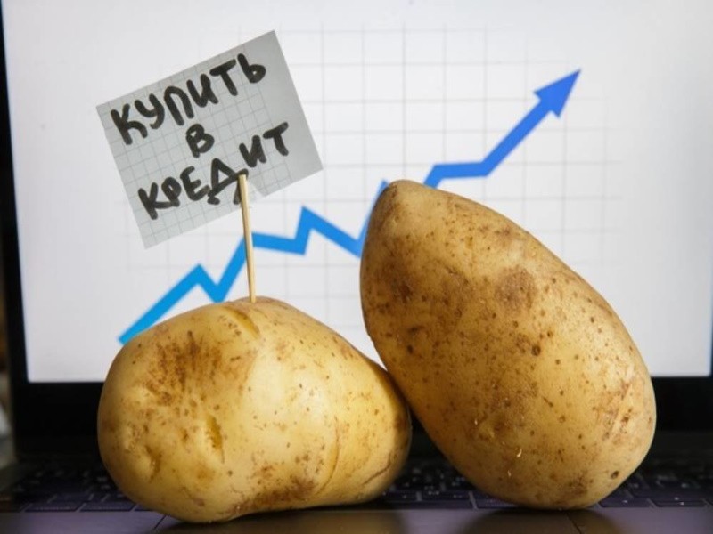 Картофель стал лидером по росту цен среди всех продуктов