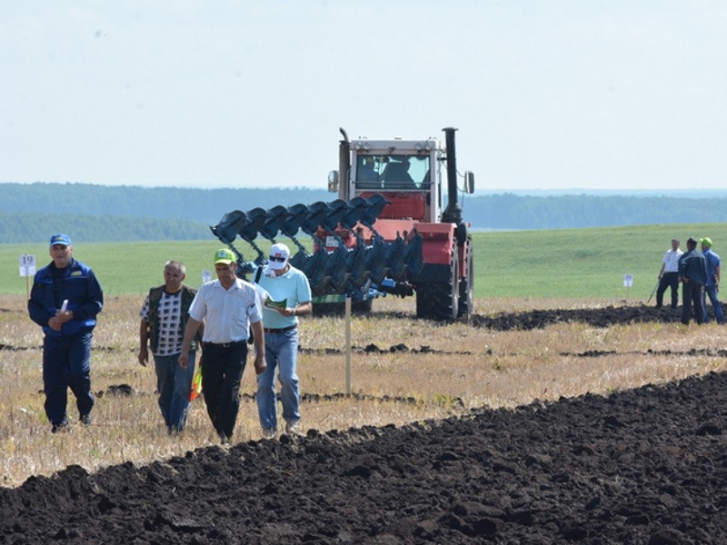 В Челябинской области в два раза снизят ставку единого сельскохозяйственного налога