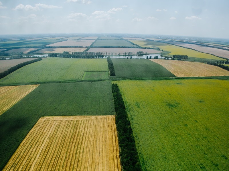 Власти Краснодарского края запретили перевод сельхозземель под жилую застройку