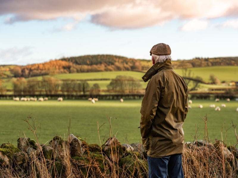 Британские власти выплатят пожилым фермерам компенсацию за уход на пенсию