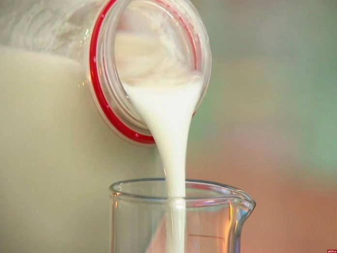 Из-за низких цен на молоко мелкие хозяйства могут просто исчезнуть