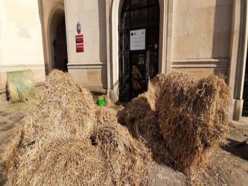 Тюки сена и жидкий навоз: польские фермеры закрыли вход в Минсельхоз страны
