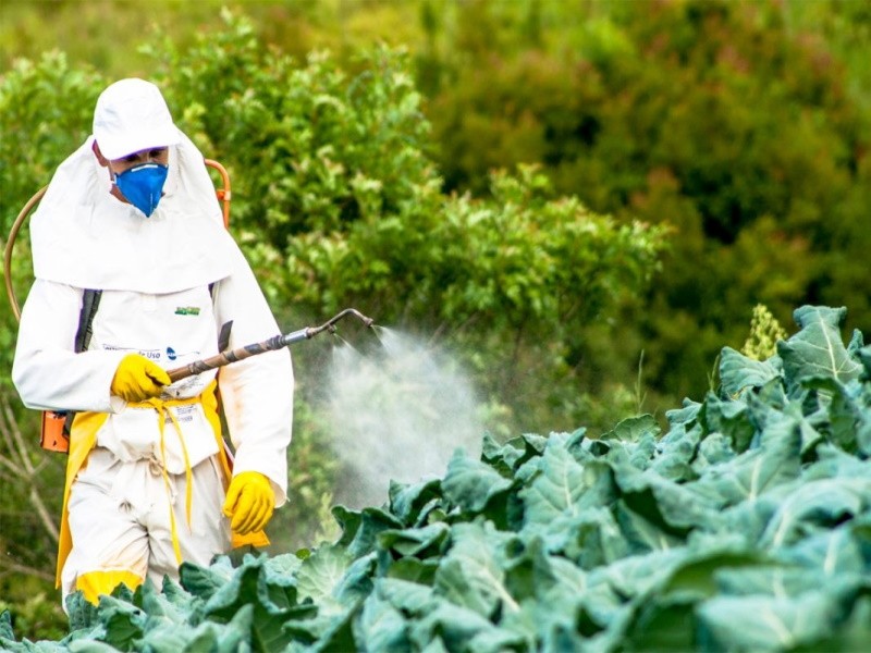 В России усилили контроль за ввозом пестицидов и агрохимикатов