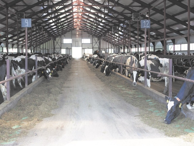 Молочное производство в Кировской области нуждается в решении проблем