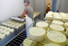 Мельниченко: в Свердловской области нет молока для производства качественного сыра