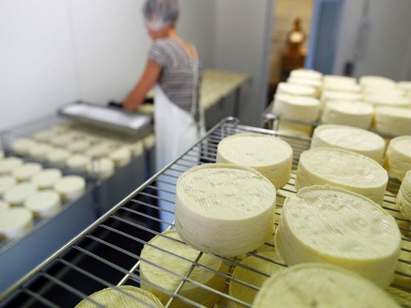 Мельниченко: в Свердловской области нет молока для производства качественного сыра
