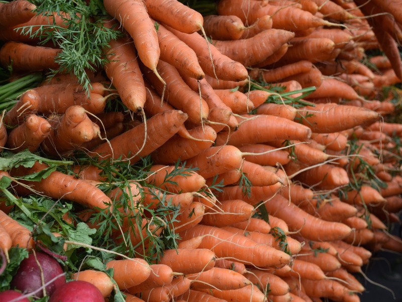 Морковь дороже бананов — что происходит с овощами?