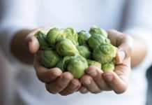 Основные особенности овощных культур – Брюссельская капуста