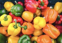Перец основные особенности овощных культур