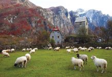 Протестующие фермеры Черногории перешли от просьбы к угрозам