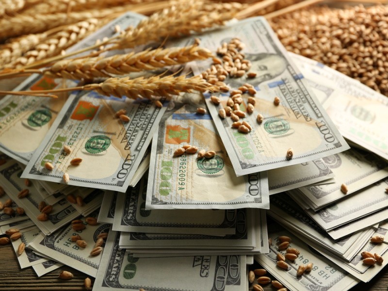 Дополнительные доходы бюджета РФ от экспортных пошлин на зерно с 15 февраля по 9 июля составили 15,4 миллиарда рублей.