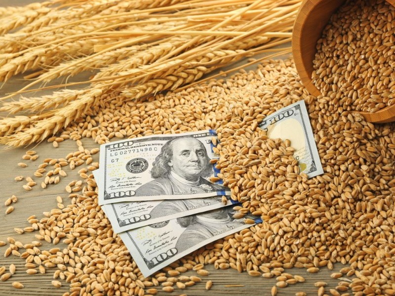 В России возобновляются биржевые торги зерном из интервенционного фонда