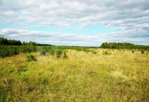 Власти Ивановской области будут изымать сельхозземли у неэффективных собственников