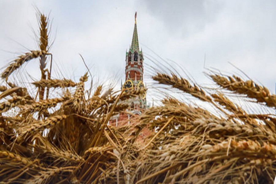 В России выросли экспортные пошлины на пшеницу, ячмень и кукурузу