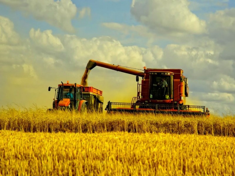 Недополученная выручка российских аграриев из-за пошлин на экспорт зерна составит миллиарды долларов