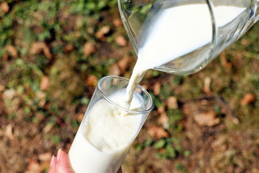 В Алтайском крае снизилось производство молока