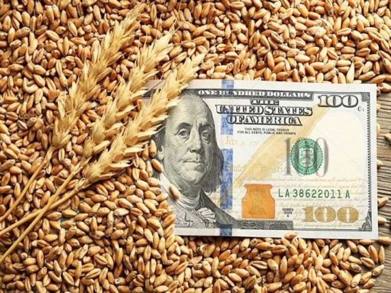 На фоне ухудшающихся прогнозов на урожай вновь подскочили экспортные цены на российскую пшеницу