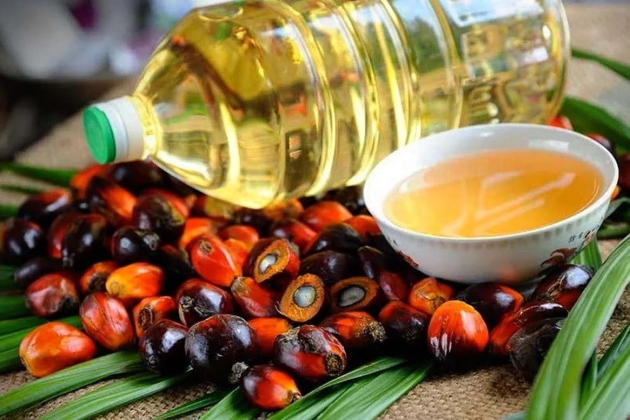 Россия существенно увеличила закупки пальмового масла