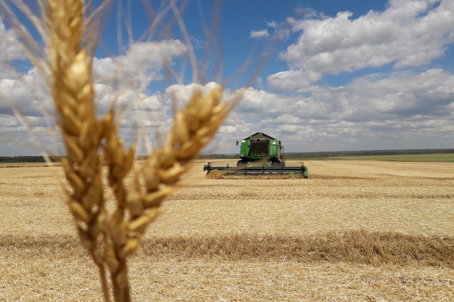 Хлеборобы Оренбургской области собрали худший за 11 лет урожай зерновых