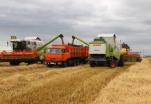 В Татарстане отмечается снижение количества продукции сельского хозяйства