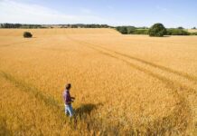 Биотехнологическая компания Gaïago объявили о соглашении с Corteva Agriscience в области разработки биофунгицидов для фермеров
