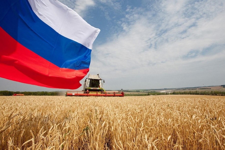 Правительство РФ утвердило изменения в госпрограмму развития сельского хозяйства