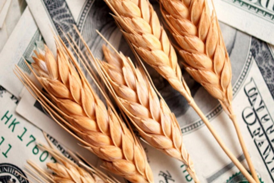 Экспортные пошлины на российскую пшеницу продолжают расти