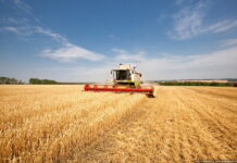 Российский зерновой союз снизил прогноз по валовому сбору зерна