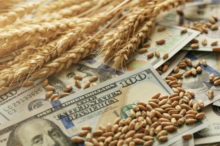 Экспортные цены на российскую пшеницу превысили $300 за тонну