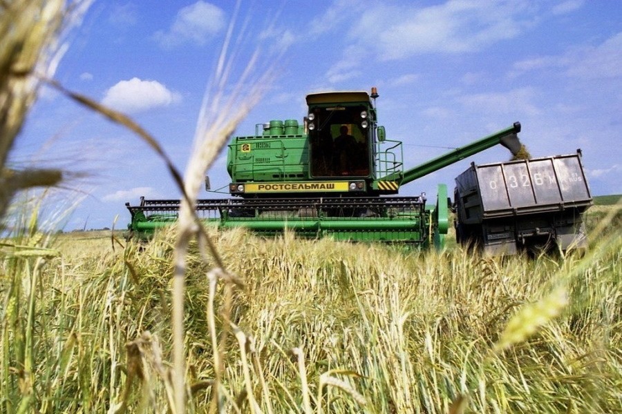 Энергокризис в Европе ставит под угрозу будущий урожай в России